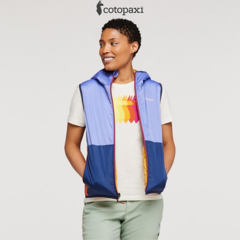 Cotopaxi Teca Cálido Reversible Hooded Vest Honeybee | WW83-V6-FC