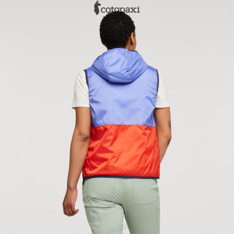 Cotopaxi Teca Cálido Reversible Hooded Vest Honeybee | WW83-V6-FC