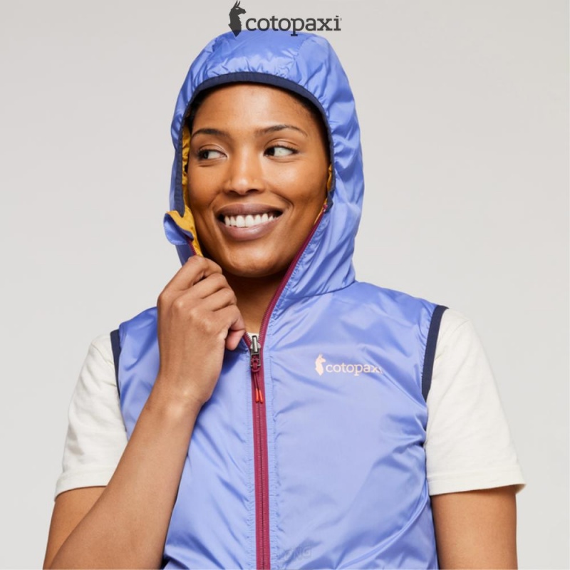 Cotopaxi Teca Cálido Reversible Hooded Vest Honeybee | WW83-V6-FC