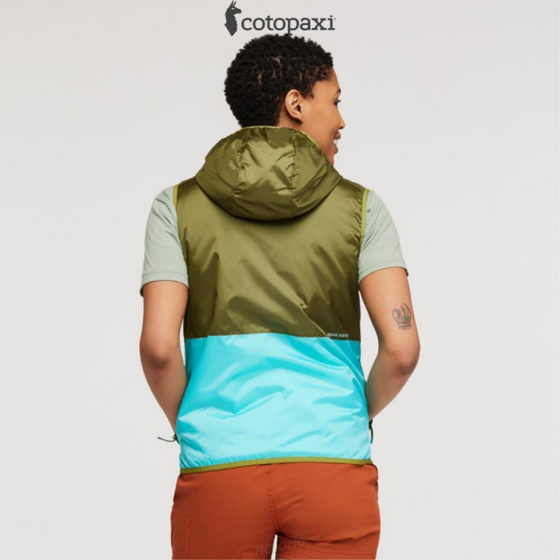 Cotopaxi Teca Cálido Reversible Hooded Vest Lafayette | EA68-C9-VD