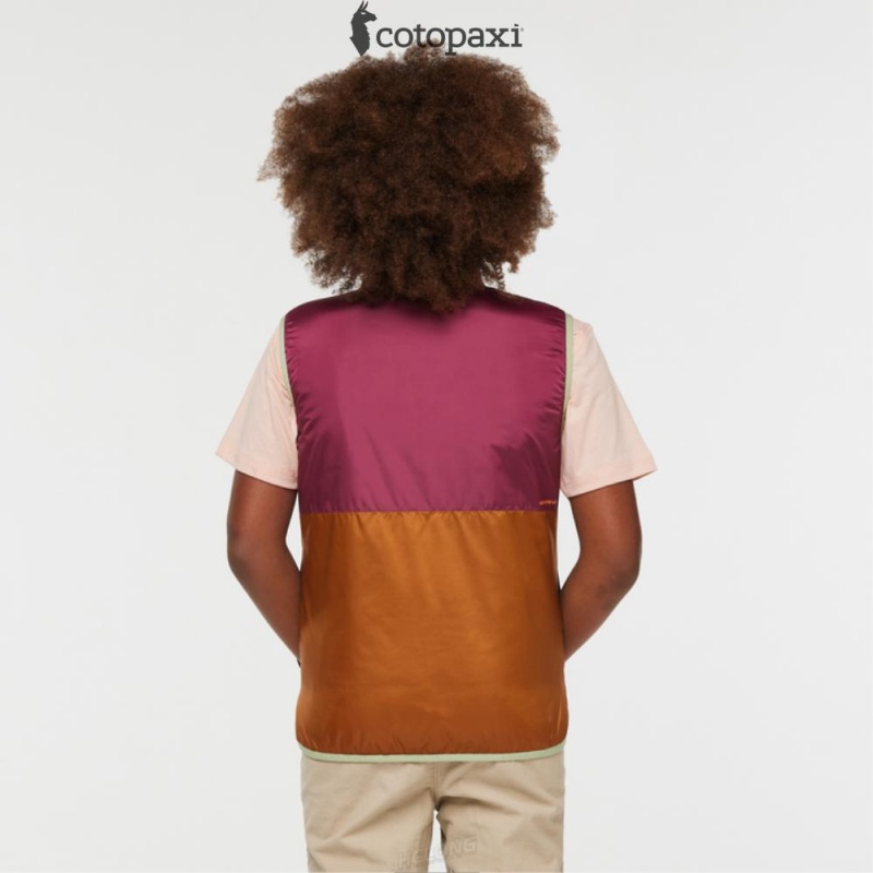 Cotopaxi Teca Cálido Vest Camelia | HF16-M2-NC