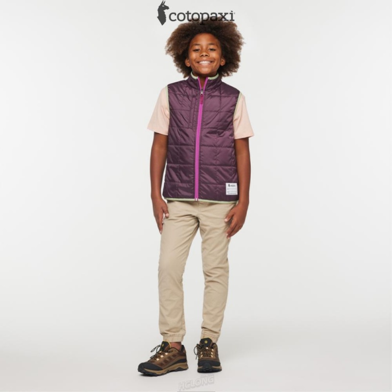 Cotopaxi Teca Cálido Vest Camelia | HF16-M2-NC