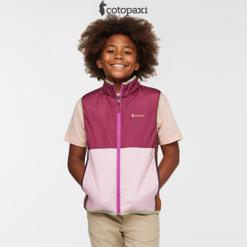 Cotopaxi Teca Cálido Vest Camelia | HF16-M2-NC