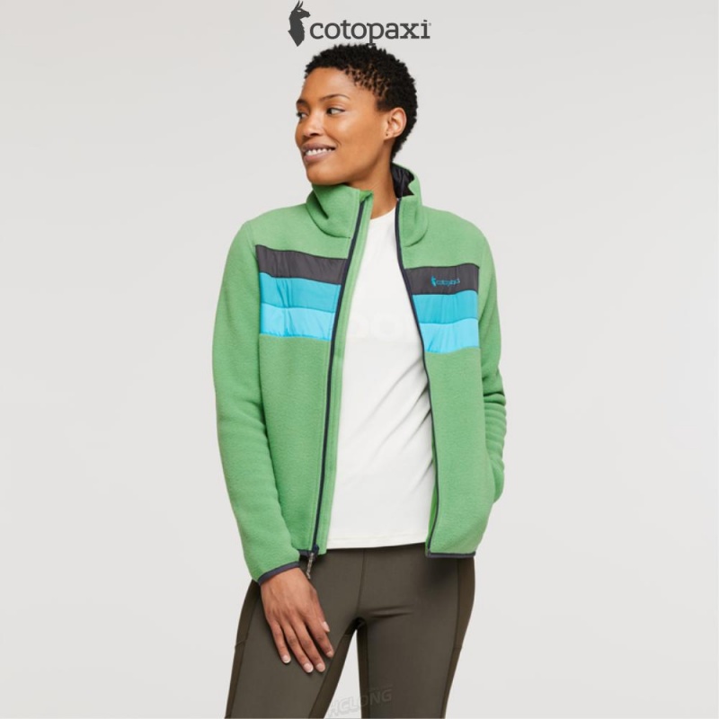 Cotopaxi Teca Fleece Full-Zip Jacket April Showers | JS89-A2-VA