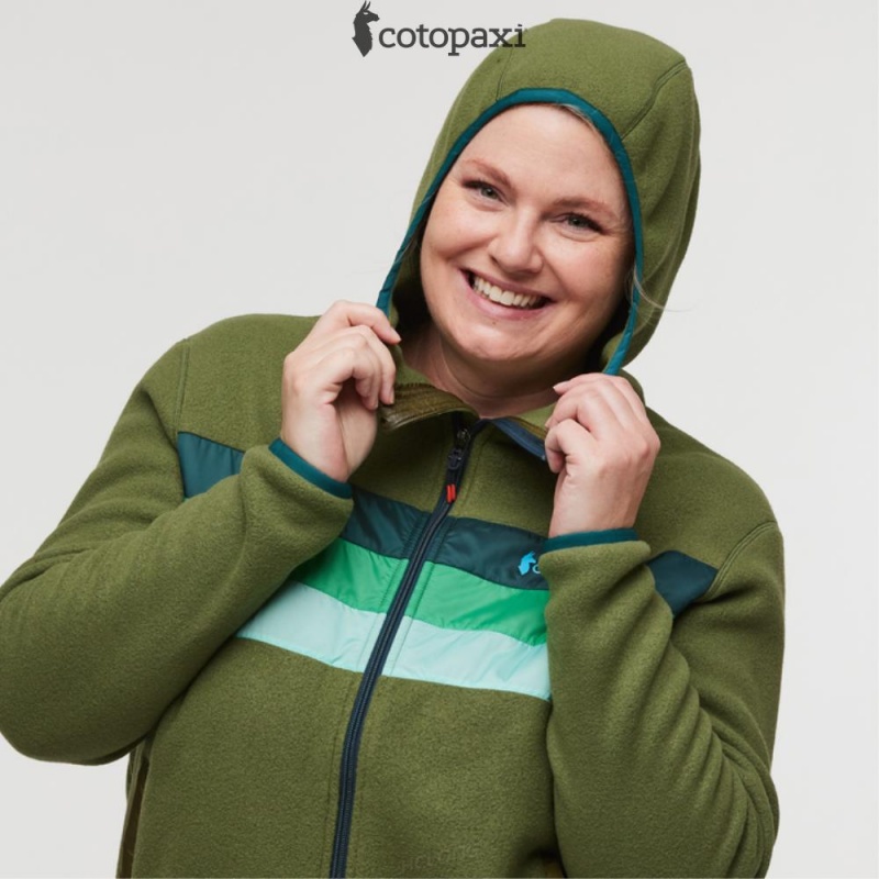 Cotopaxi Teca Fleece Hooded Full-Zip Jacket Squirrel | ND77-W6-QG