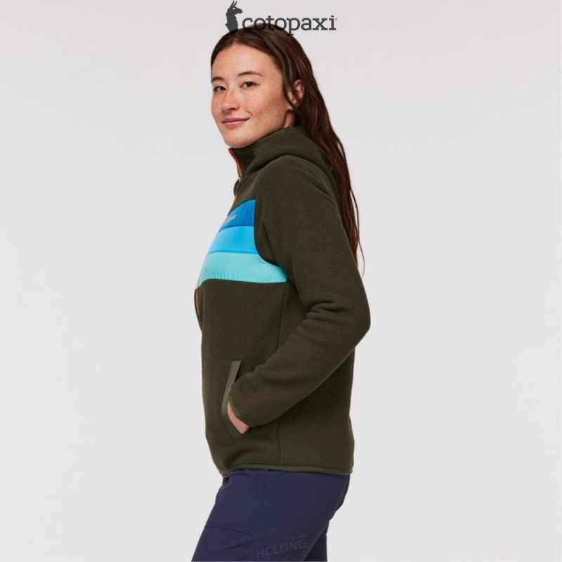 Cotopaxi Teca Fleece Hooded Full-Zip Jacket Hidden Lake | UE21-P7-UZ