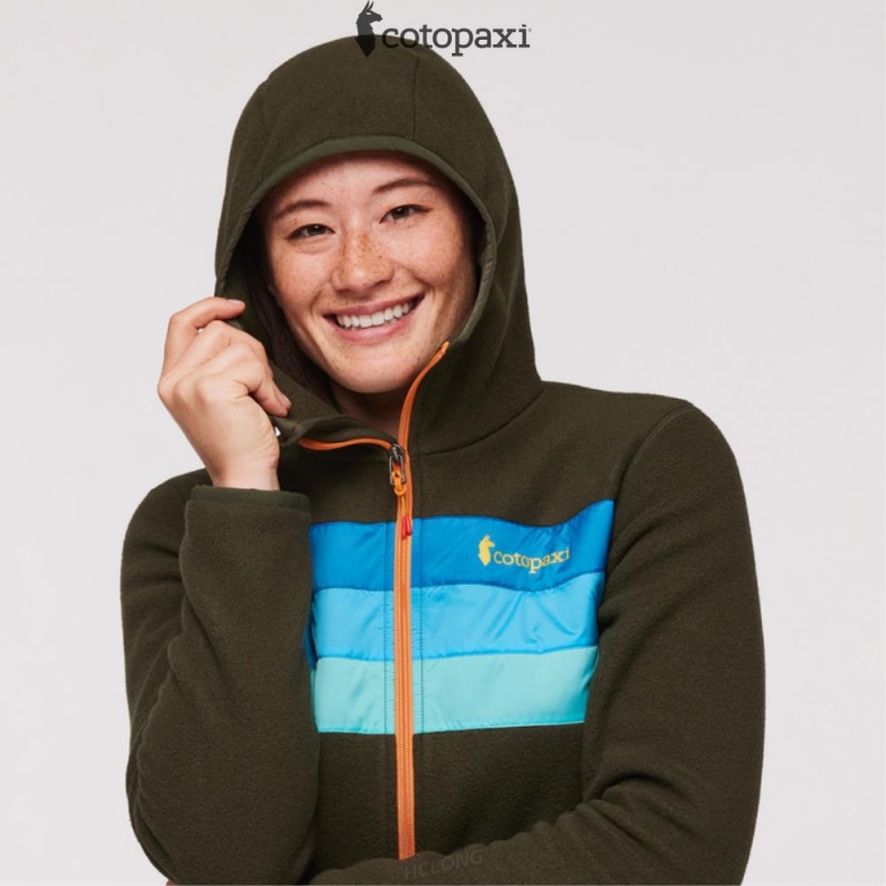 Cotopaxi Teca Fleece Hooded Full-Zip Jacket Hidden Lake | UE21-P7-UZ