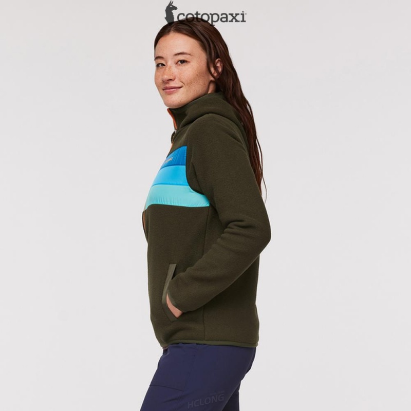 Cotopaxi Teca Fleece Hooded Full-Zip Jacket Hidden Lake | EJ98-P3-ZI