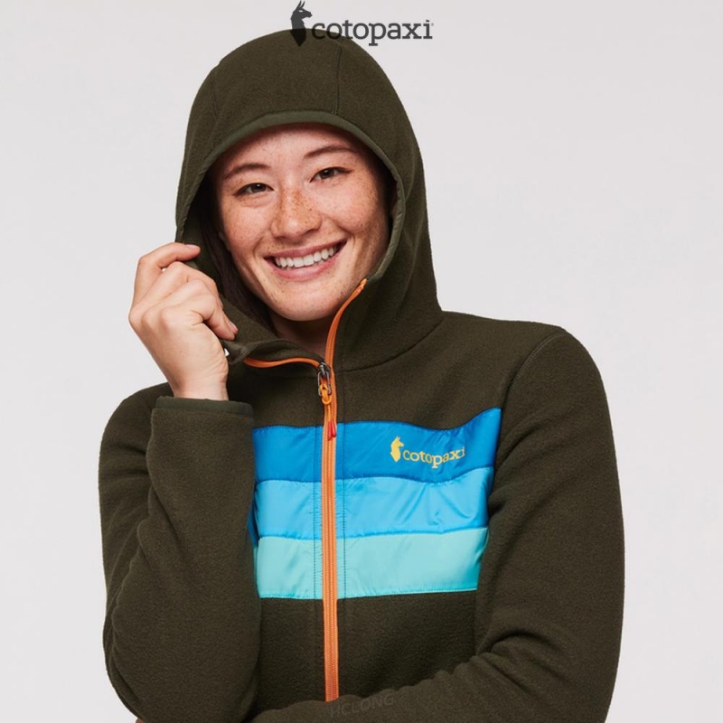 Cotopaxi Teca Fleece Hooded Full-Zip Jacket Hidden Lake | EJ98-P3-ZI