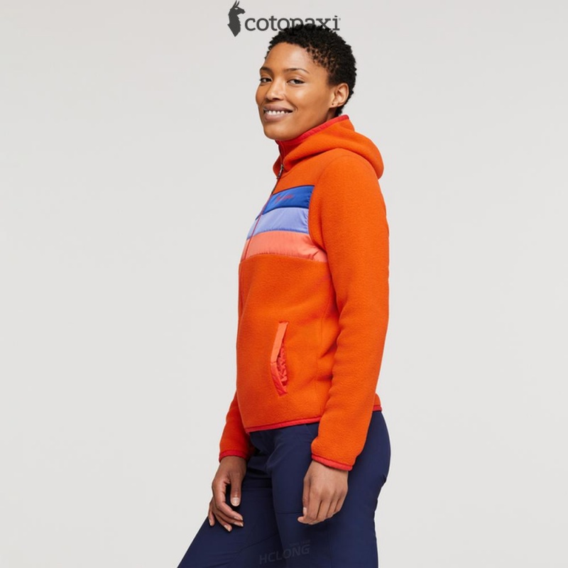 Cotopaxi Teca Fleece Hooded Full-Zip Jacket Feverish | QF28-C4-WN