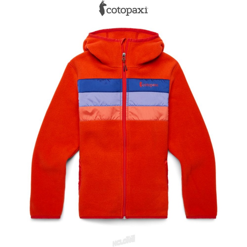 Cotopaxi Teca Fleece Hooded Full-Zip Jacket Feverish | QF28-C4-WN