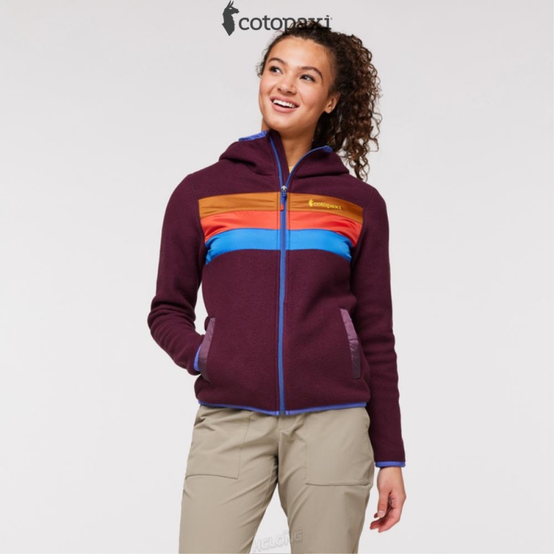 Cotopaxi Teca Fleece Hooded Full-Zip Jacket Verona | KA38-S1-GK