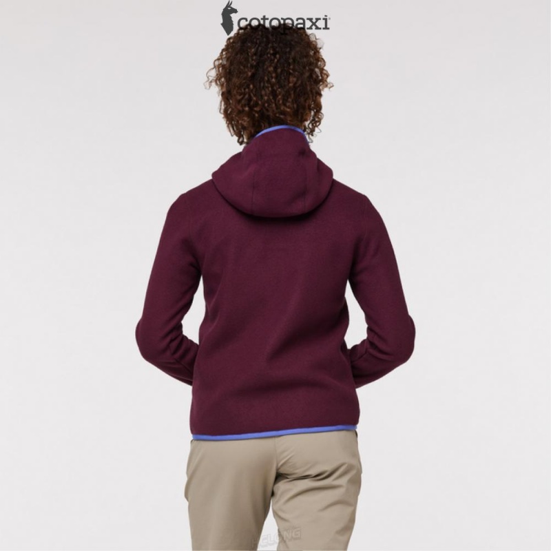 Cotopaxi Teca Fleece Hooded Full-Zip Jacket Verona | KA38-S1-GK