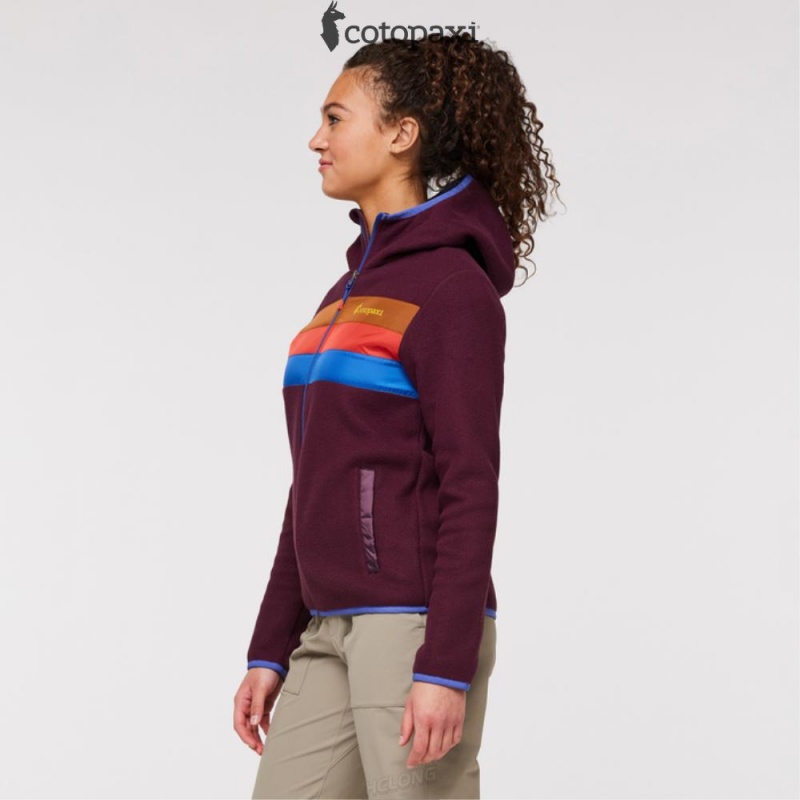 Cotopaxi Teca Fleece Hooded Full-Zip Jacket Verona | XW70-V9-VJ