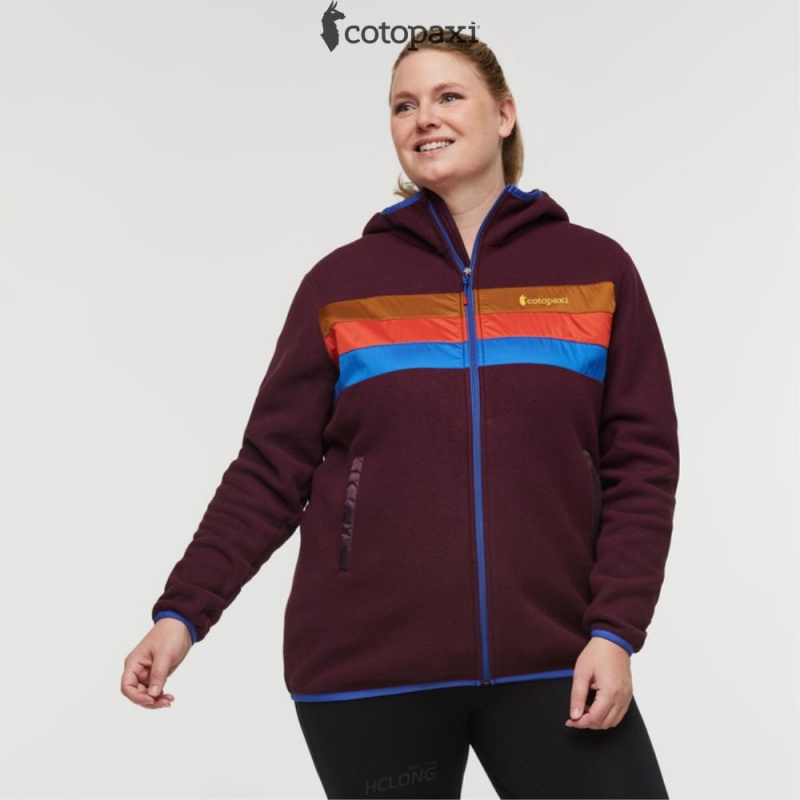 Cotopaxi Teca Fleece Hooded Full-Zip Jacket Verona | XW70-V9-VJ