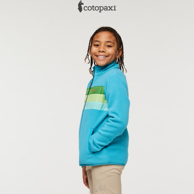 Cotopaxi Teca Fleece Jacket Seaweed | SD24-L8-GY