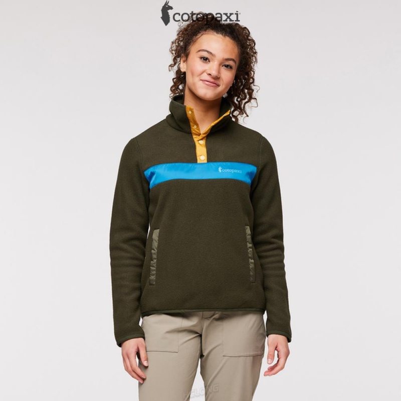 Cotopaxi Teca Fleece Pullover Pine Tree | IN47-S7-EC