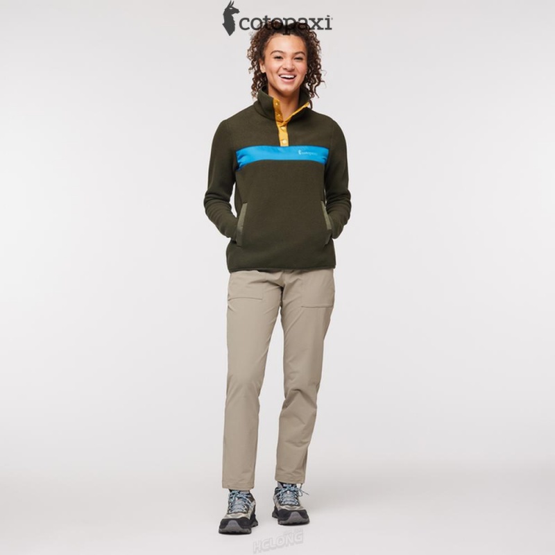 Cotopaxi Teca Fleece Pullover Pine Tree | IN47-S7-EC