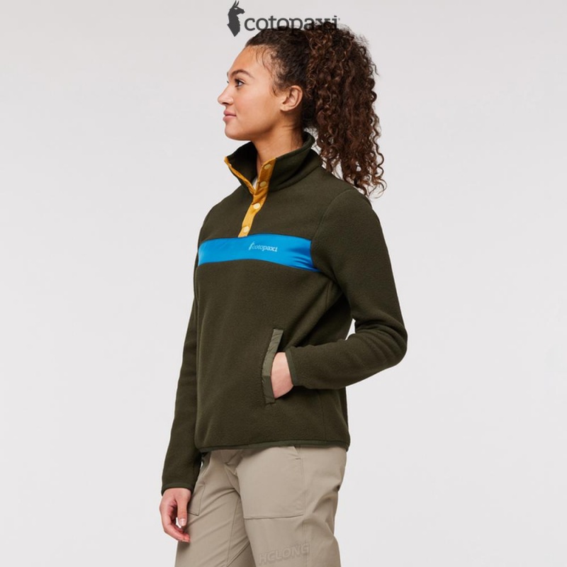 Cotopaxi Teca Fleece Pullover Pine Tree | IN47-S7-EC