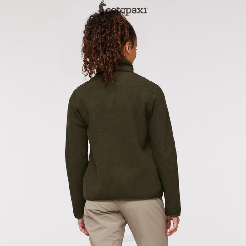 Cotopaxi Teca Fleece Pullover Pine Tree | IN47-S7-EC