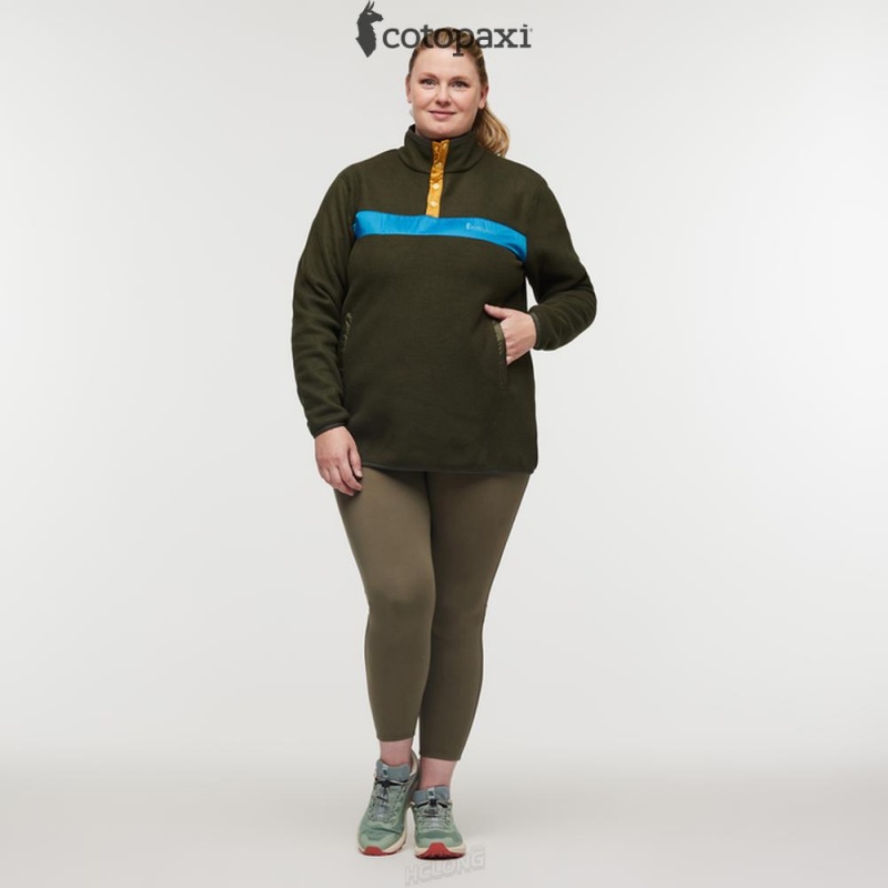 Cotopaxi Teca Fleece Pullover Pine Tree | QR61-S5-SS