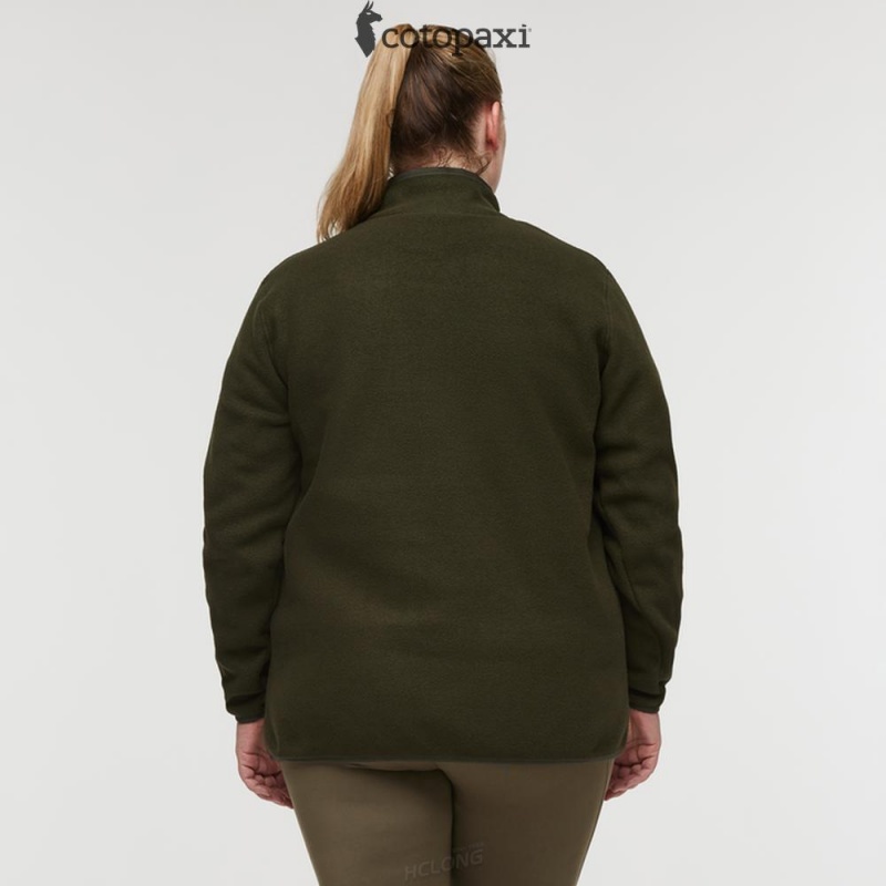 Cotopaxi Teca Fleece Pullover Pine Tree | QR61-S5-SS