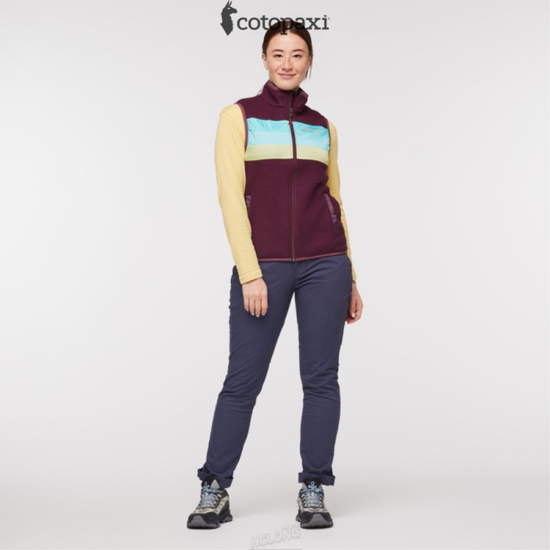 Cotopaxi Teca Fleece Vest Moon Beam | HH25-X0-BH