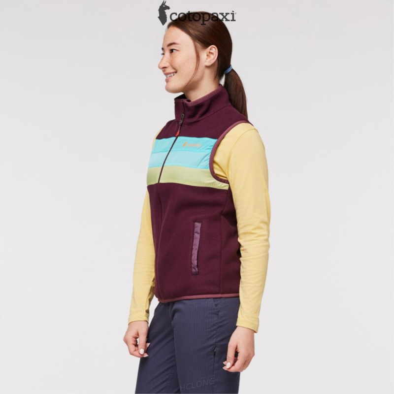 Cotopaxi Teca Fleece Vest Moon Beam | HH25-X0-BH