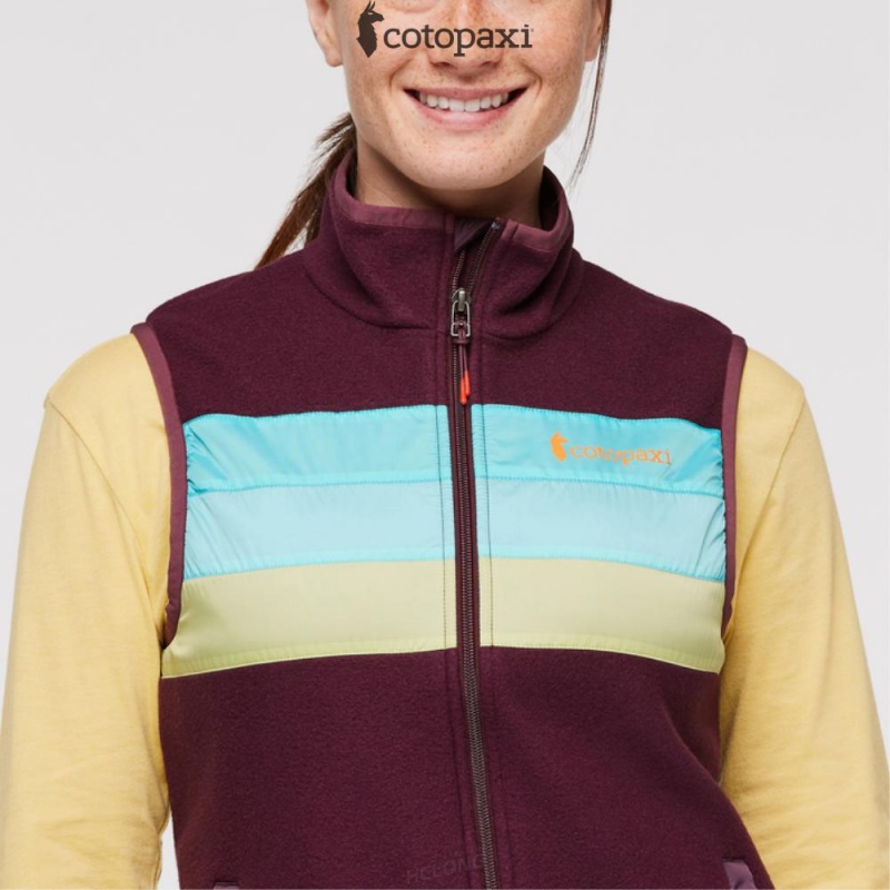 Cotopaxi Teca Fleece Vest Moon Beam | HH25-X0-BH