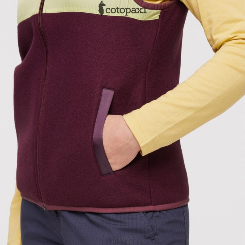 Cotopaxi Teca Fleece Vest Moon Beam | HH25-X0-BH