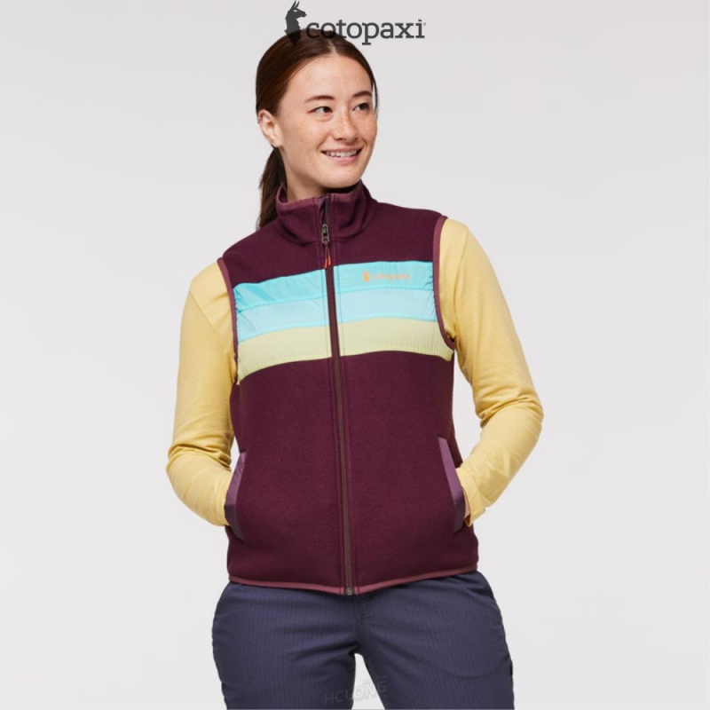 Cotopaxi Teca Fleece Vest Moon Beam | HH25-X0-BH