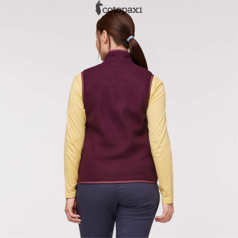 Cotopaxi Teca Fleece Vest Moon Beam | JU98-F7-PQ