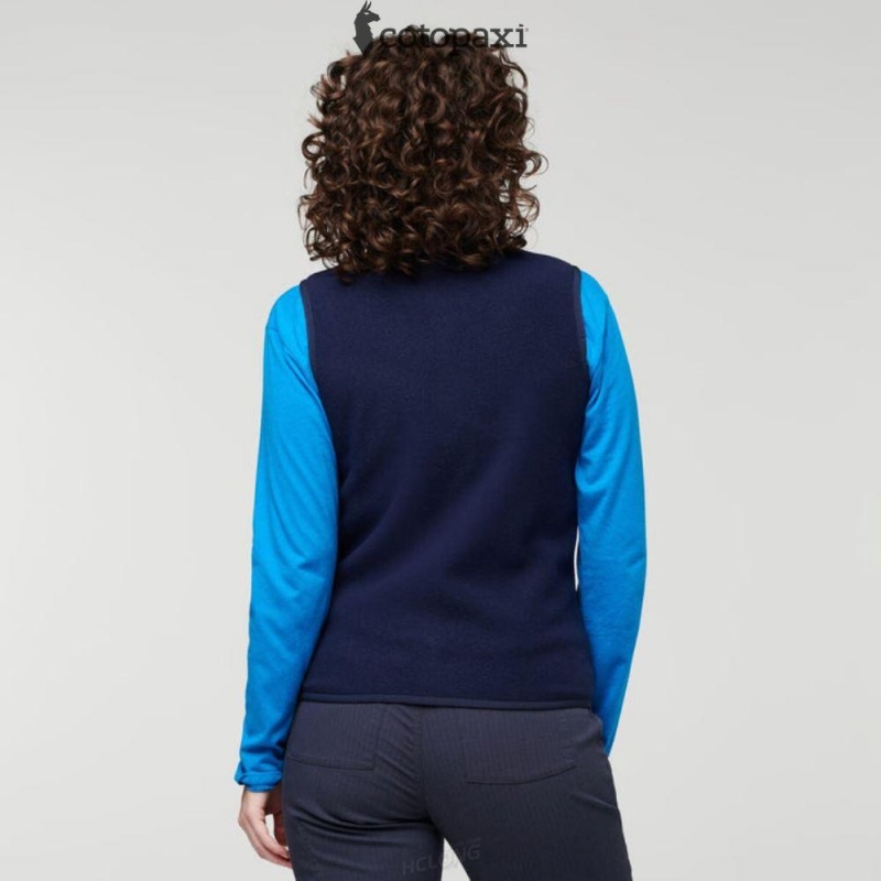 Cotopaxi Teca Fleece Vest Pony Up | KZ74-E6-PP