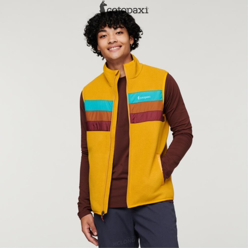 Cotopaxi Teca Fleece Vest Wyoming | NE87-O1-JG