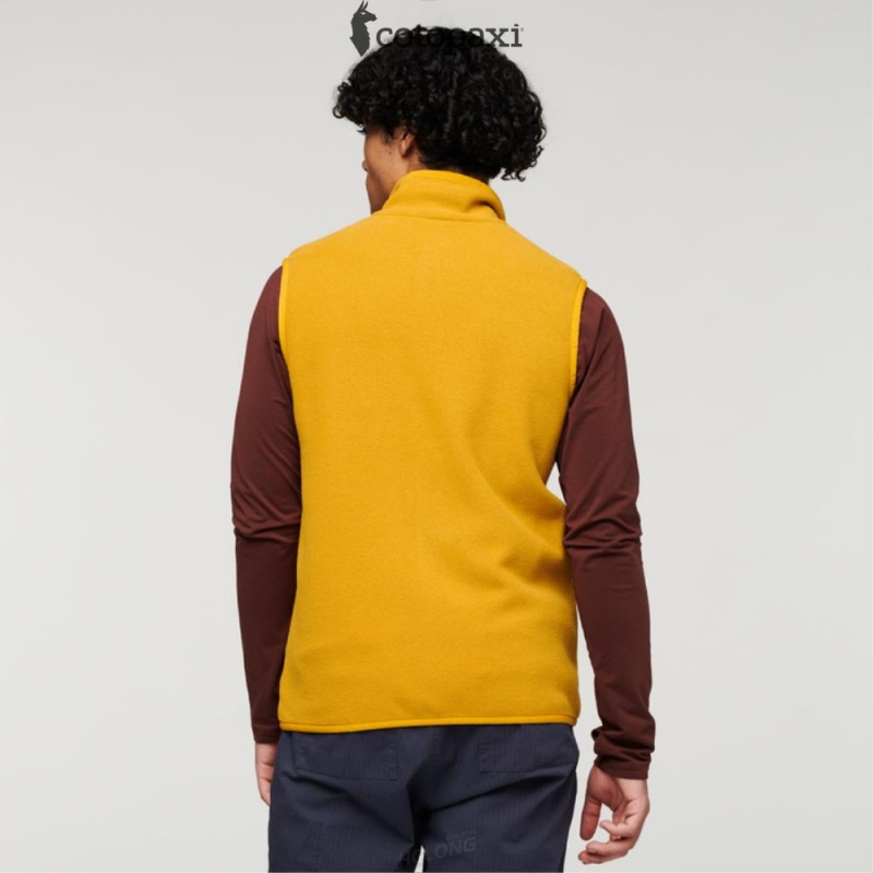 Cotopaxi Teca Fleece Vest Wyoming | VU91-F4-ZX