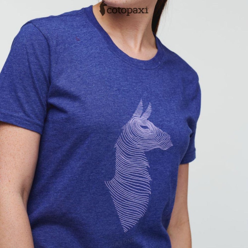 Cotopaxi Topo Llama T-Shirt Blue Violet | ZW86-F5-QP