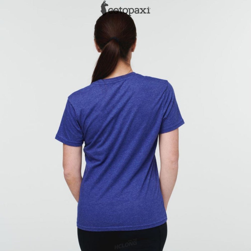 Cotopaxi Topo Llama T-Shirt Blue Violet | ZW86-F5-QP