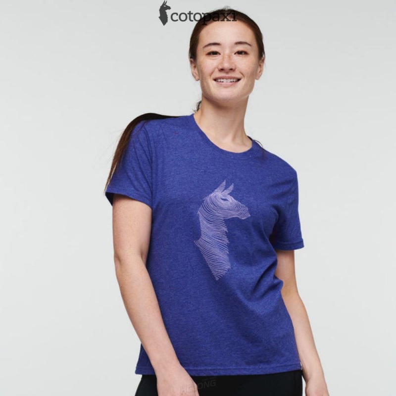 Cotopaxi Topo Llama T-Shirt Blue Violet | ZW86-F5-QP