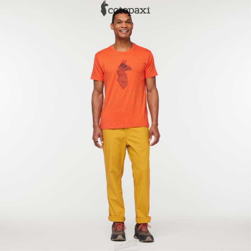 Cotopaxi Topo Llama T-Shirt Canyon | CO11-J4-ZX