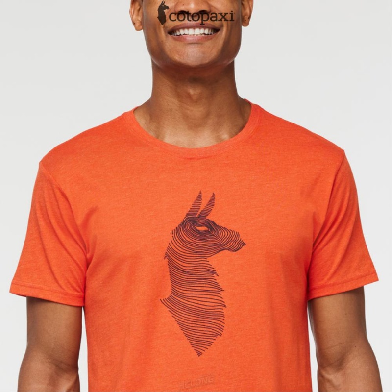 Cotopaxi Topo Llama T-Shirt Canyon | CO11-J4-ZX