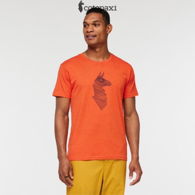 Cotopaxi Topo Llama T-Shirt Canyon | CO11-J4-ZX