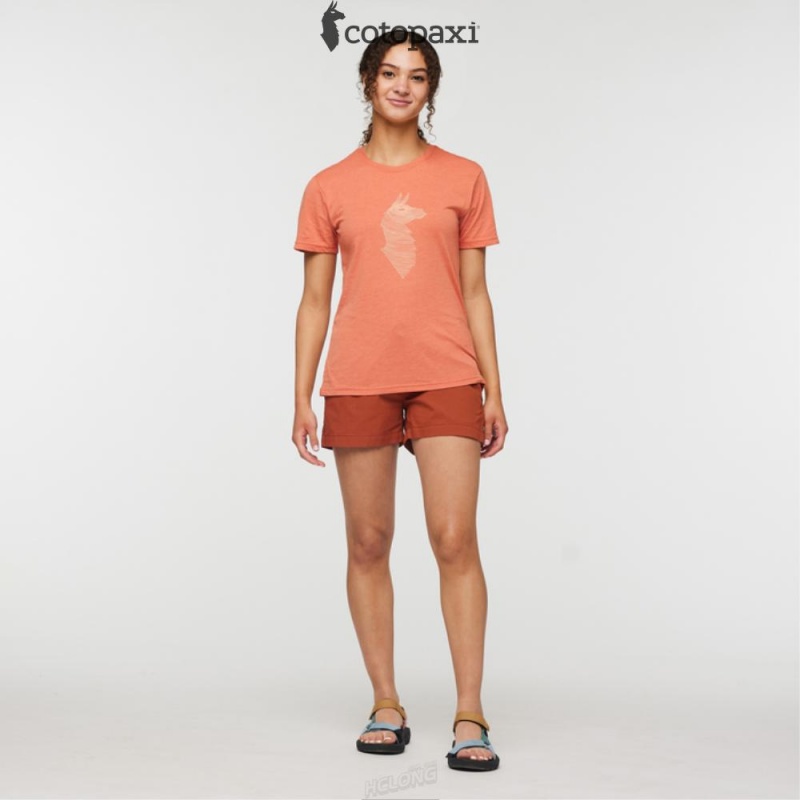 Cotopaxi Topo Llama T-Shirt Nectar | CU55-J8-SD