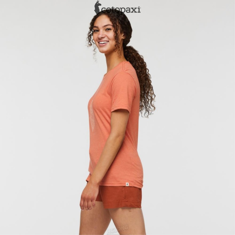 Cotopaxi Topo Llama T-Shirt Nectar | CU55-J8-SD