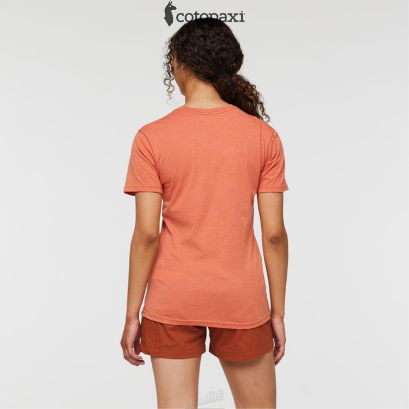 Cotopaxi Topo Llama T-Shirt Nectar | CU55-J8-SD