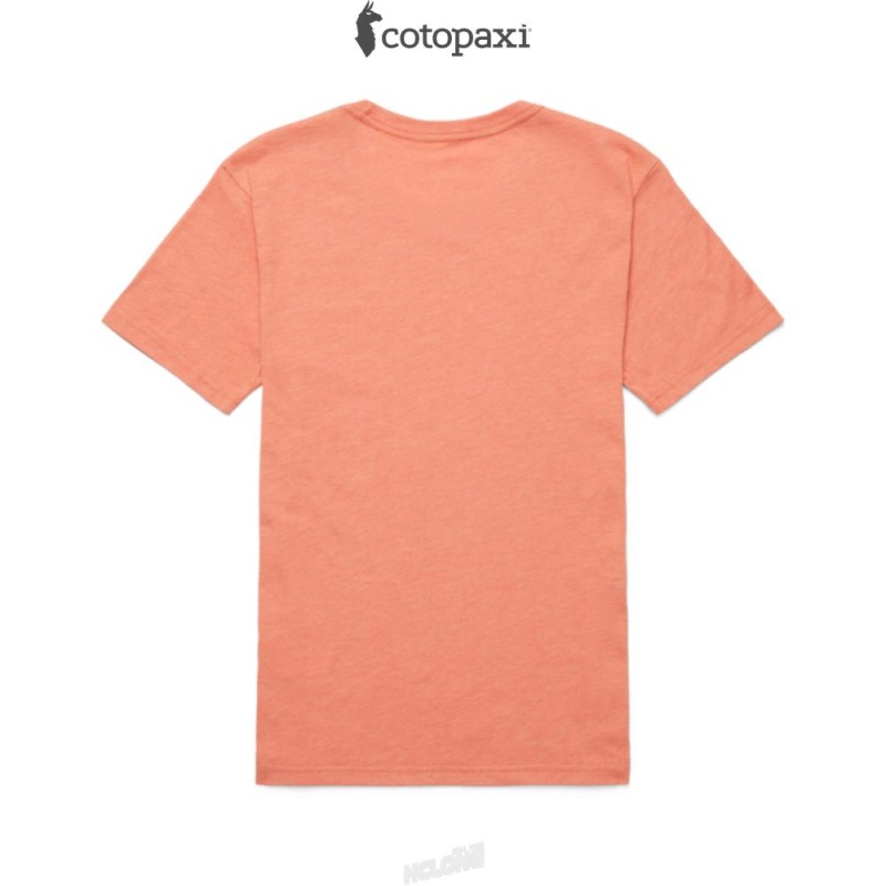 Cotopaxi Topo Llama T-Shirt Nectar | CU55-J8-SD