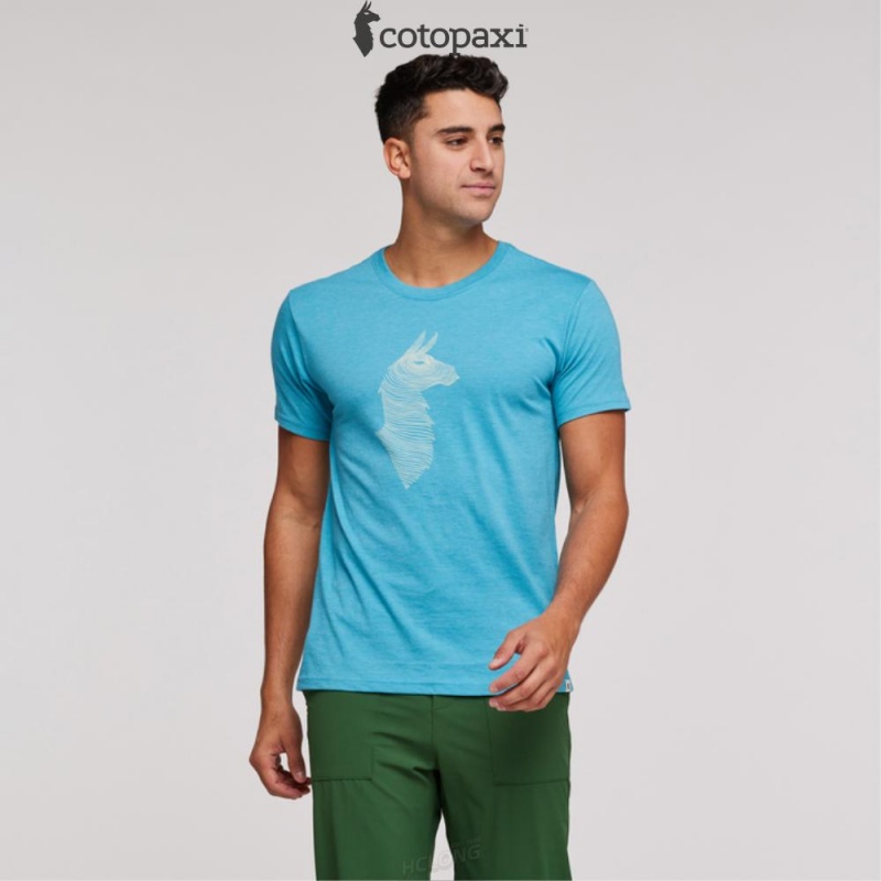 Cotopaxi Topo Llama T-Shirt Poolside | RZ99-C7-CY