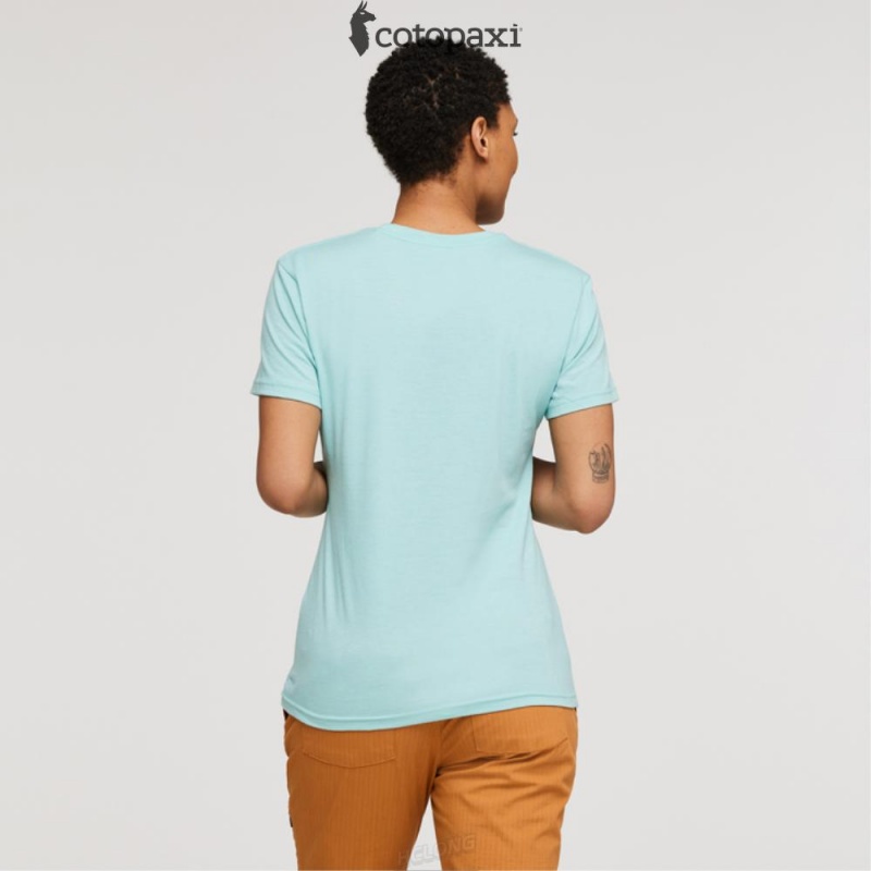 Cotopaxi Topo Llama T-Shirt Sea Glass | SS55-A3-LM