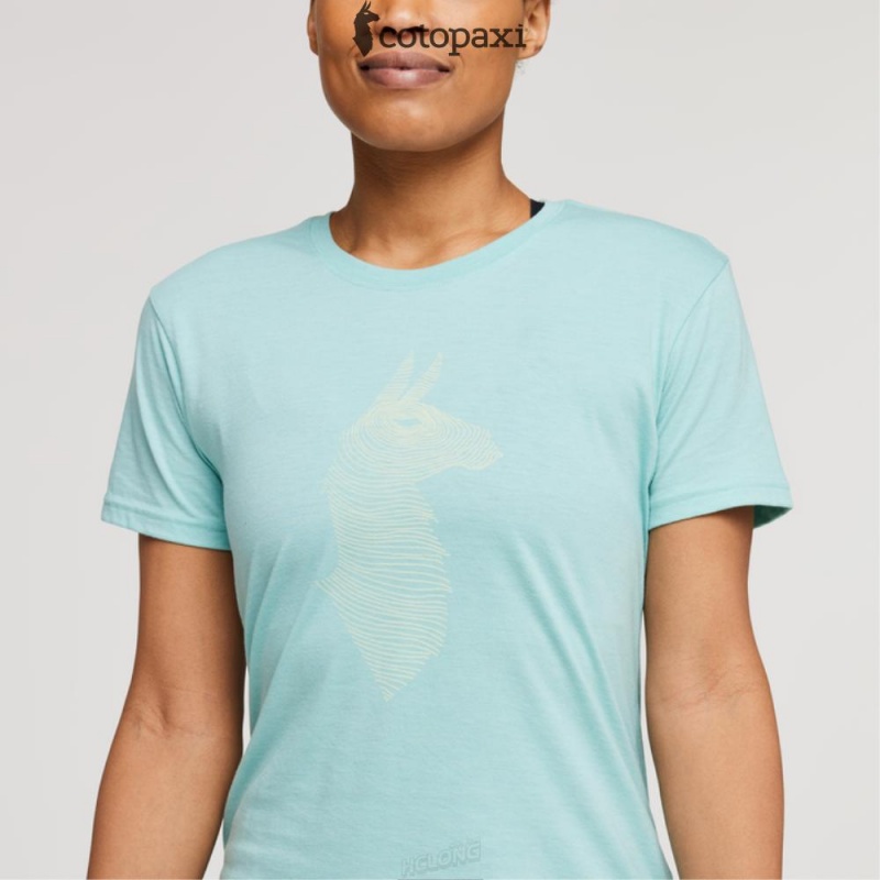 Cotopaxi Topo Llama T-Shirt Sea Glass | SS55-A3-LM