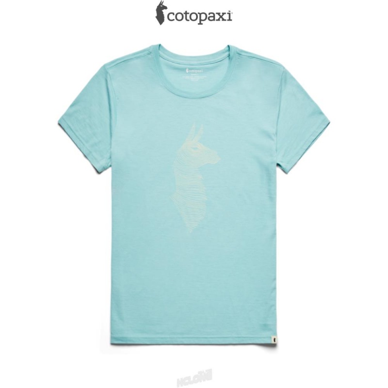 Cotopaxi Topo Llama T-Shirt Sea Glass | SS55-A3-LM