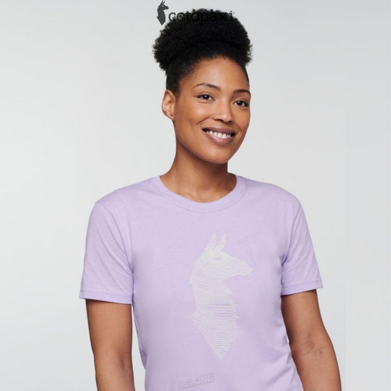 Cotopaxi Topo Llama T-Shirt Thistle | XX24-M5-FF